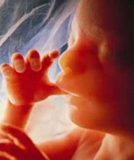 سقط جنین چیست