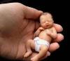 تحقیق نگاه فقه به اهدای جنین