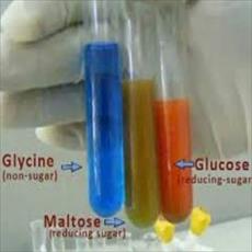 آزمایشات کیفی کربوهیدراتها (گزارش کار آزمایشگاه)