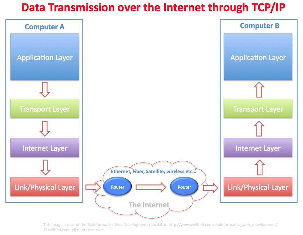 پروتکل TCP/IP