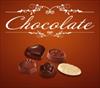پاورپوینت تولید شکلات (شرکت آیدینو )