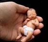 تحقیق نگاه فقه به اهدای جنین