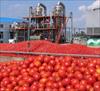 پروژه فرآيند توليد كنسرو و رب گوجه فرنگي