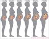 بررسی وضعيت دوران بارداري در زنان روزه دار و غير روزه دار