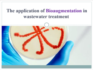 The application of Bioaugmentation in wastewater treatment